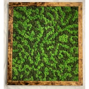 Mechový obraz 100*110*5 - sobí mech - dřevěný opálený rám