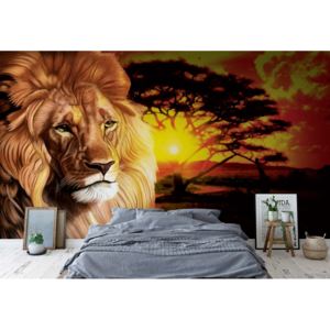 Fototapeta - Lion Sunset Africa Animals Vliesová tapeta - 250x104 cm