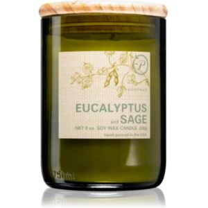 Paddywax Eco Green Eucalyptus & Sage vonná svíčka 226 g