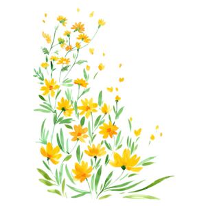 Ilustrace Yellow watercolor wildflowers, Blursbyai
