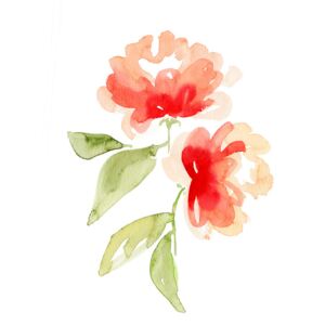 Ilustrace Kailey abstract flower, Blursbyai