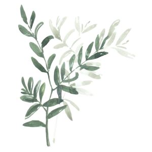 Ilustrace Watercolor laurel branch, Blursbyai