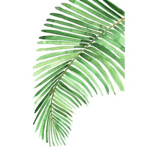 Ilustrace Watercolor palm leaf, Blursbyai