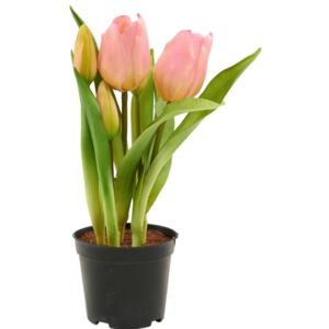 Butlers FLORISTA Tulipány v květináči - sv. růžová