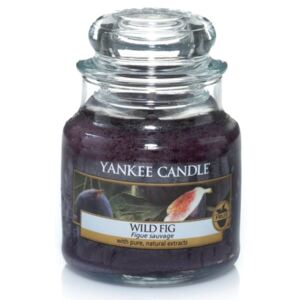 Yankee Candle - vonná svíčka Wild Fig (Divoké fíky) 104g (Vůně Wild Fig od Yankee Candle je chutně bohaté ovocné aroma divokých fíků, starostlivě utržených v okamžiku, kdy jsou na svém vrcholu.)