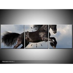 Obraz černého koně (F002681F9030CC)