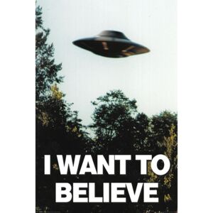 Plakát - I Want to Believe