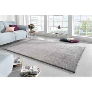 Mint Rugs - Hanse Home koberce AKCE: 160x230 cm Kusový koberec Glam 103014 Silver - 160x230 cm