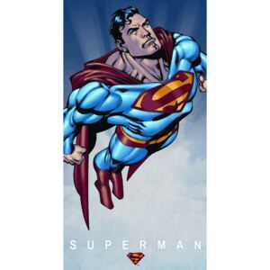 Plechová cedule: Superman - 40x22 cm