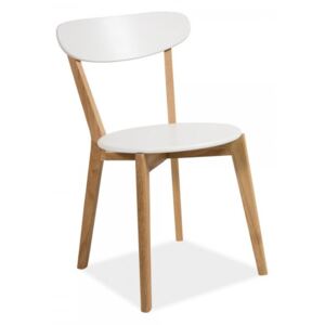 Jídelní židle Milan / dub a bílá