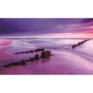 Postershop Fototapeta: Fialový západ slunce na pláži - 184x254 cm
