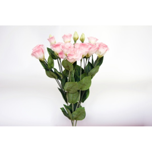 Animadecor Umělá květina - Lisianthus růžový