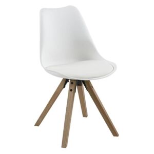 Jídelní židle Damian, bílá/dřevo
