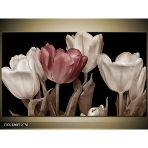 Obraz Tulipány - hnědá