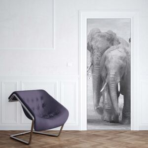 GLIX Fototapeta na dveře - Elephants Black And White Animals | 91x211 cm