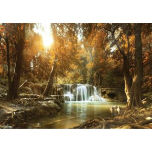 Postershop Fototapeta vliesová: Vodopády v lese (1) - 184x254 cm