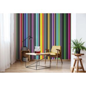 Fototapeta - Colourful Stripe Pattern Papírová tapeta - 368x280 cm