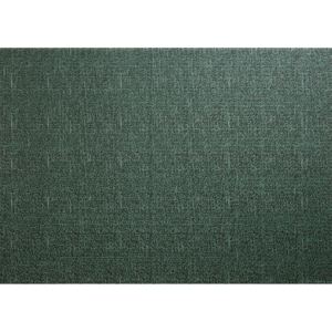 Prostírání ASA Selection tkané 33x46 cm | zelená