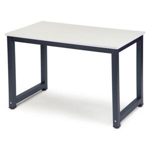 ModernHome Psací stůl 60x120, bílý, PWDNZ-301