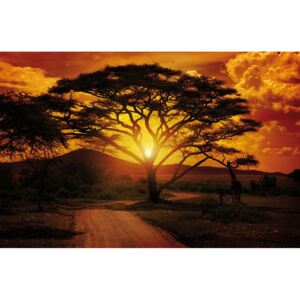 Postershop Fototapeta: Africký západ slunce - 184x254 cm