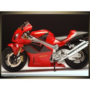Obraz silniční motorky (F000465F7050)
