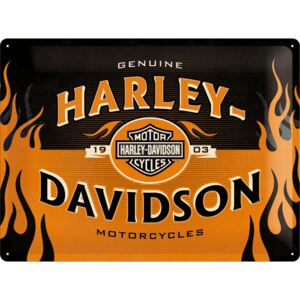 Nostalgic Art Plechová cedule - Harley-Davidson (Flames) 30x40 cm