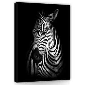 Postershop Obraz na plátně: Zebra (2) - 100x75 cm
