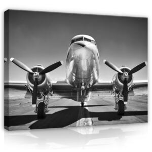 Postershop Obraz na plátně: Černobílé letadlo (1) - 75x100 cm