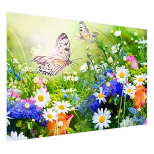 Fototapeta Motýli a květiny v krásné zahradě 200x135cm FT2220A_1AL