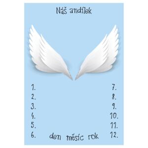 ELIS DESIGN Milníková deka na focení miminek Andělská křídla modrá