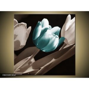 Obraz modrého květu tulipánu (F002504F3030)
