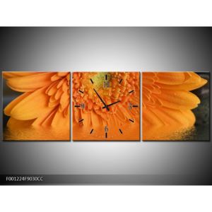 Obraz oranžové květiny (F001224F9030CC)