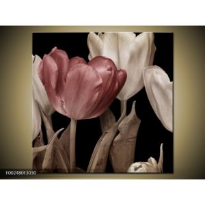 Obraz tulipánů - červená černobílá (30x30 cm)