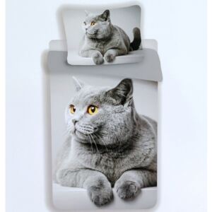 3D Povlečení - CUTE CAT