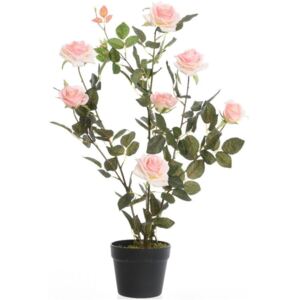 Kaemingk Růžový keř v květináči, růžový, 80 cm