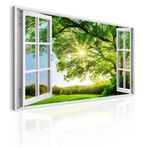3D obraz okno- obrovský strom + háčky, hřebíčky, čistící hadřík ZDARMA Velikost (šířka x výška): 60x40 cm