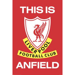 Plakát, Obraz - Liverpool FC - This Is Anfield, (61 x 91,5 cm)