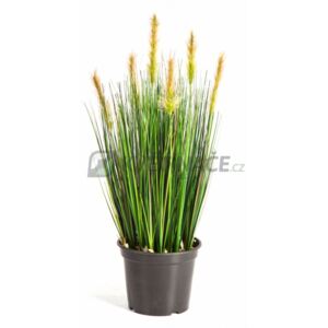 Foxtail Grass Green 60cm - Do interiéru