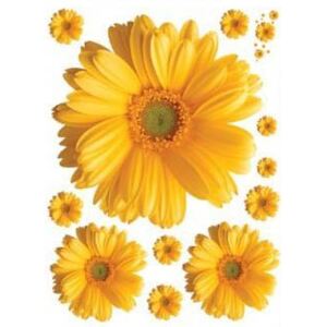 ZOOYOO Samolepka na zeď květiny - sedmikrásky žluté 45 x 60 cm