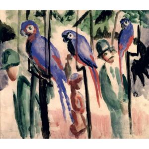 Obraz, Reprodukce - Blue Parrots, August Macke