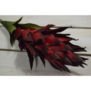 Umělý květ kurkuma - červená (V: 90cm) 061 velikost