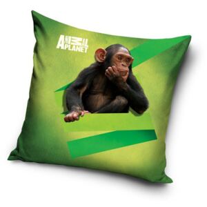 CARBOTEX Povlak na polštářek Animal Planet Šimpanz micro Polyester 40/40 cm