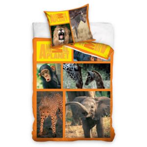 Carbotex Povlečení Animal Planet Safari bavlna 140/200, 70/80 cm