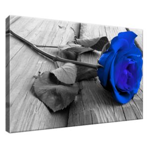 Obraz na plátně Modrá růže na podlaze 30x20cm 2214A_1T
