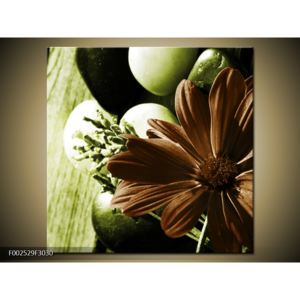 Obraz hnědého květu na zeleném stole (F002529F3030)