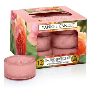 Yankee Candle - čajové svíčky Sun-Drenched Apricot Rose 12ks (Doširoka rozkvetlá vůně jemných růžových lístků a chutné šťavnaté meruňky.)