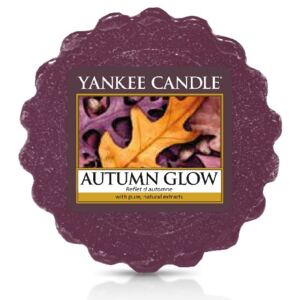 Yankee Candle - vonný vosk Autumn Glow (Zářivý podzim) 22g (Barevné listí, vířící po zemi rozzářené sluncem, vytváří společně s dřevitými tóny pačuli pocit procházky podzimním lesem.)