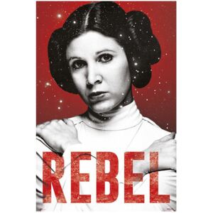 Plakát Star Wars: Leia rebel (61 x 91,5 cm) 150g