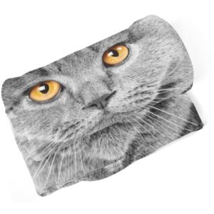 IMPAR Fleecová deka Kočičí pohled 150x120 cm (Rozměr : 150 x 120 cm)