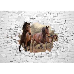 Postershop Fototapeta: Koně ve zdi - 184x254 cm
